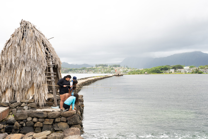 Moʻokuapā: Help to complete the kuapā at Paepae o Heʻeia