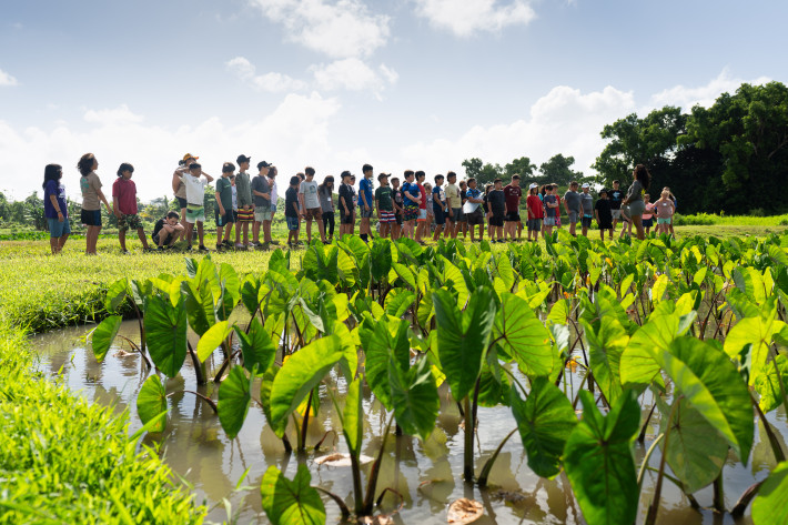 Summer learning starts here: 5 resources to explore Hawaiian culture and history