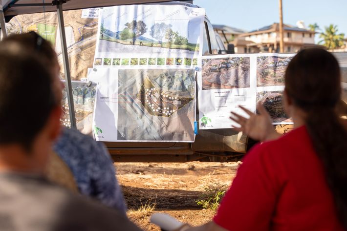 Native food crops, other plants poised to take root on KS’ lands in Lahaina 