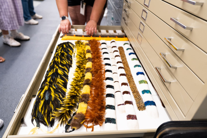 Inside Kamehameha Schools Archives: A new home, now open to the public