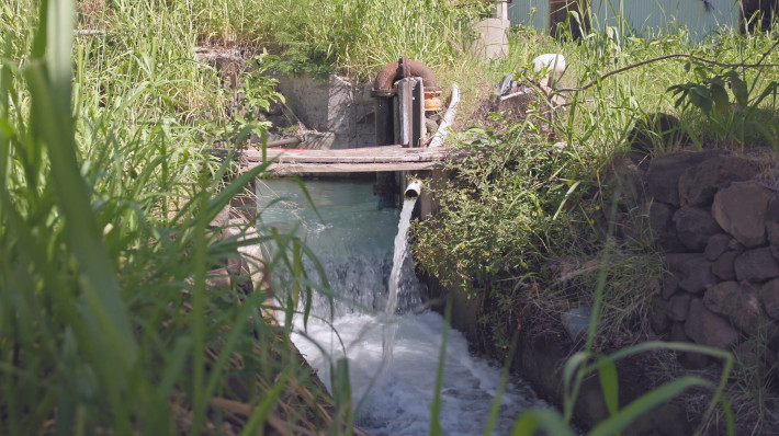 County of Maui and Kamehameha Schools Propose Shared Stewardship of Lahaina Water Resources